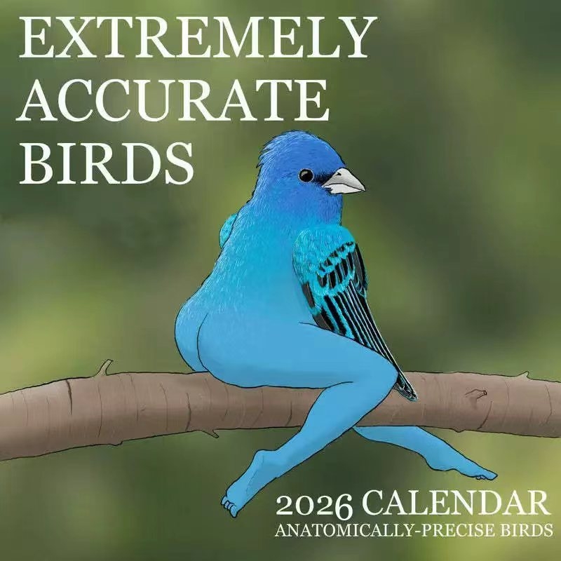 CALENDAR OF EXTREMELY ACCURATE - огляд і ціна Home Decor Xmas Gifts