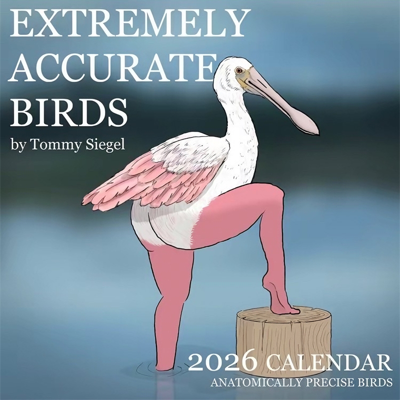 CALENDAR OF EXTREMELY ACCURATE - огляд і ціна Home Decor Xmas Gifts